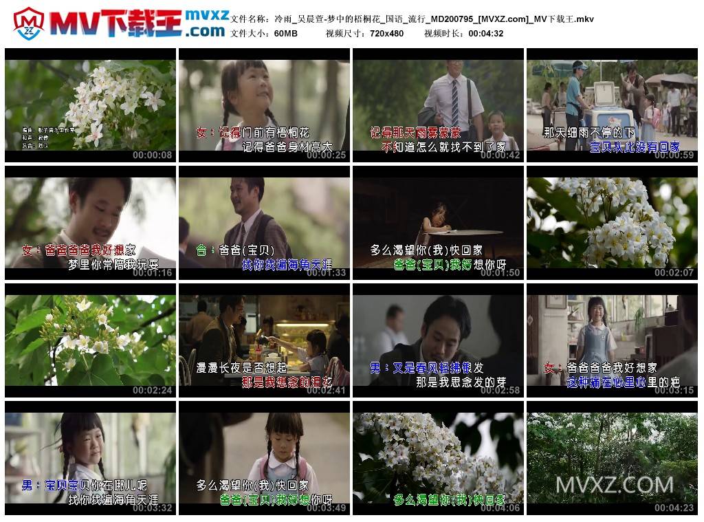 冷雨_吴晨萱-梦中的梧桐花_国语_流行_MD200795